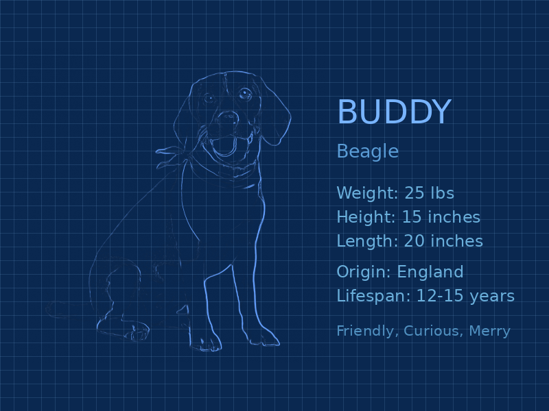 Breed Blueprint